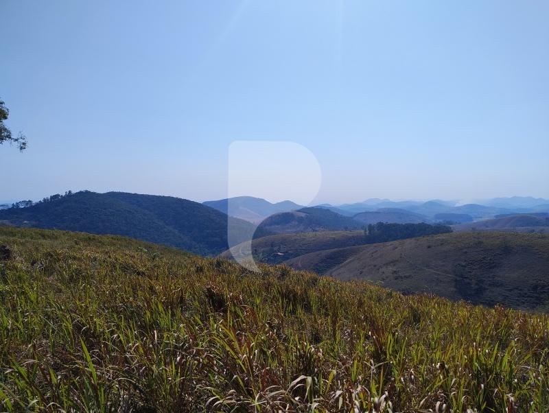 Fazenda / Sítio à venda em Sebollas, Paraíba do Sul - RJ - Foto 11