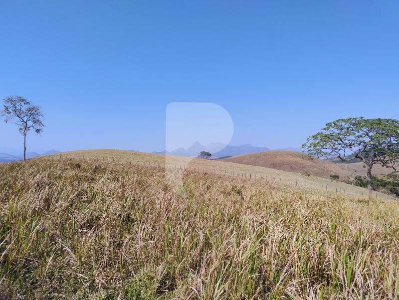 Fazenda / Sítio à venda em Sebollas, Paraíba do Sul - RJ - Foto 12