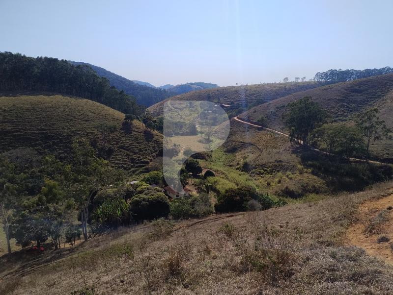 Fazenda / Sítio à venda em Sebollas, Paraíba do Sul - RJ - Foto 13