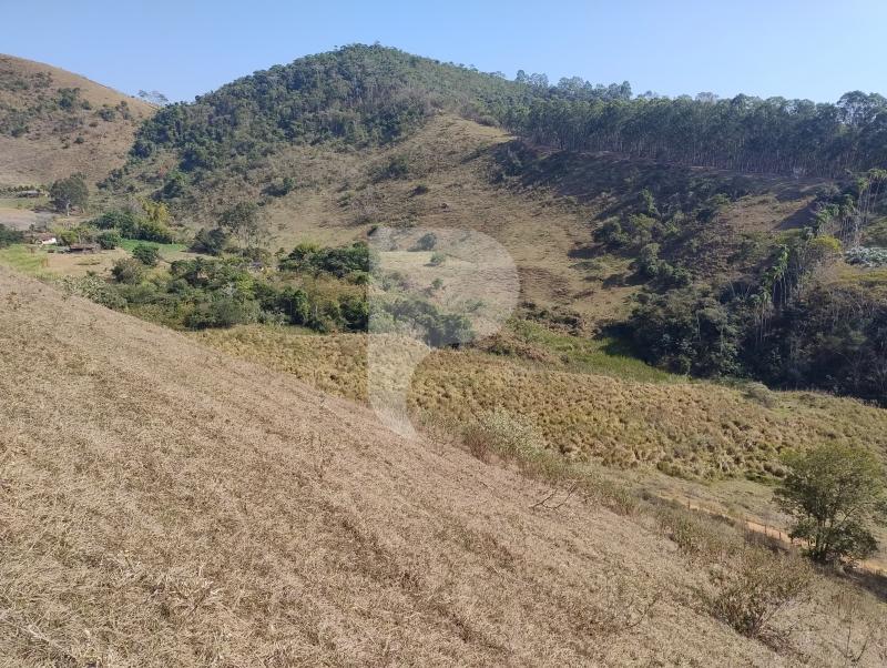 Fazenda / Sítio à venda em Sebollas, Paraíba do Sul - RJ - Foto 15