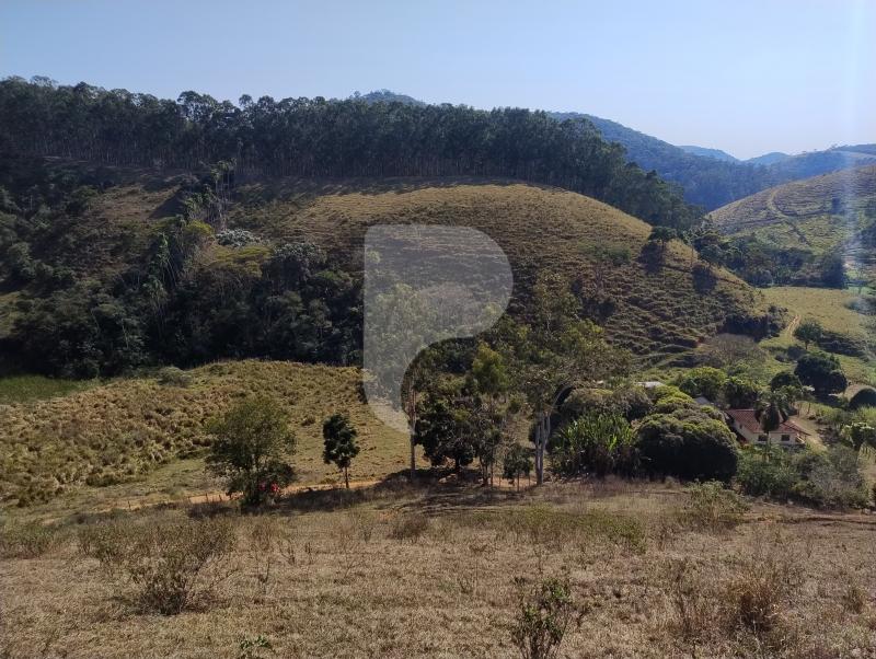 Fazenda / Sítio à venda em Sebollas, Paraíba do Sul - RJ - Foto 16