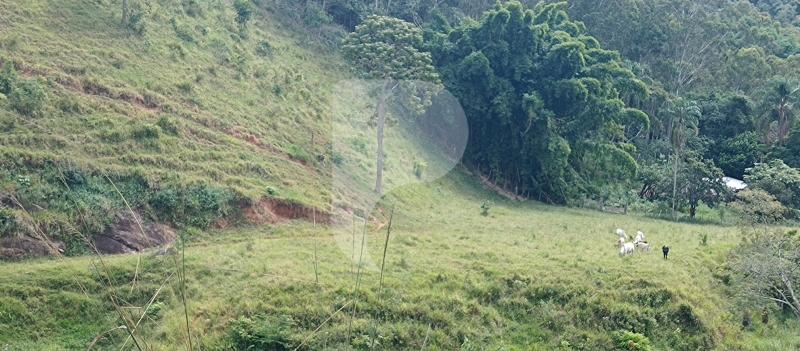 Fazenda / Sítio à venda em Sebollas, Paraíba do Sul - RJ - Foto 20