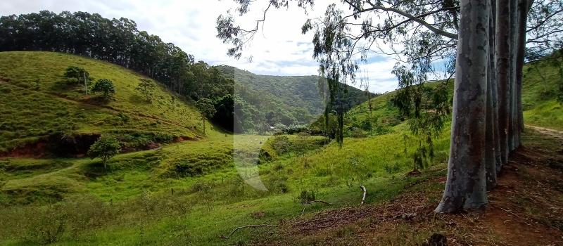 Fazenda / Sítio à venda em Sebollas, Paraíba do Sul - RJ - Foto 21