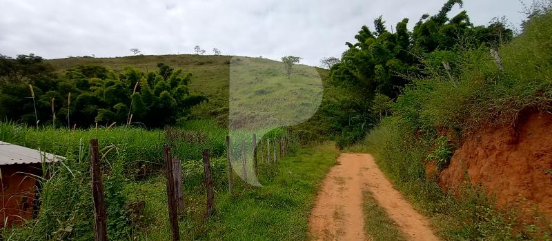 Fazenda / Sítio à venda em Sebollas, Paraíba do Sul - RJ - Foto 22