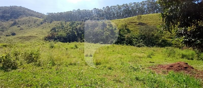 Fazenda / Sítio à venda em Sebollas, Paraíba do Sul - RJ - Foto 23