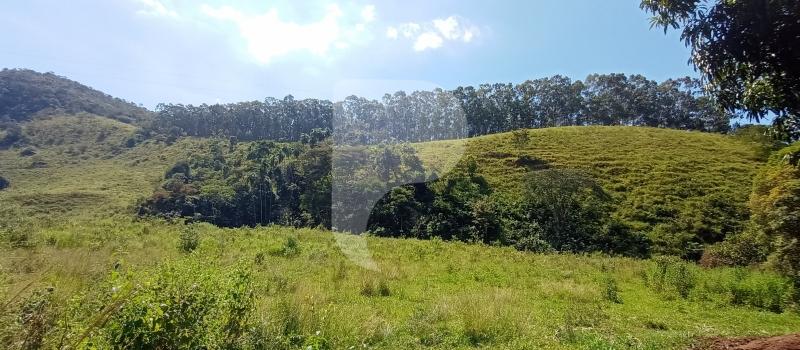 Fazenda / Sítio à venda em Sebollas, Paraíba do Sul - RJ - Foto 24