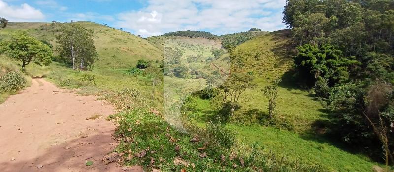 Fazenda / Sítio à venda em Sebollas, Paraíba do Sul - RJ - Foto 27