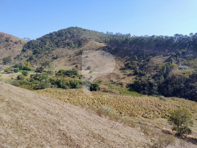 Fazenda / Sítio à venda em Sebollas, Paraíba do Sul - RJ - Foto 29