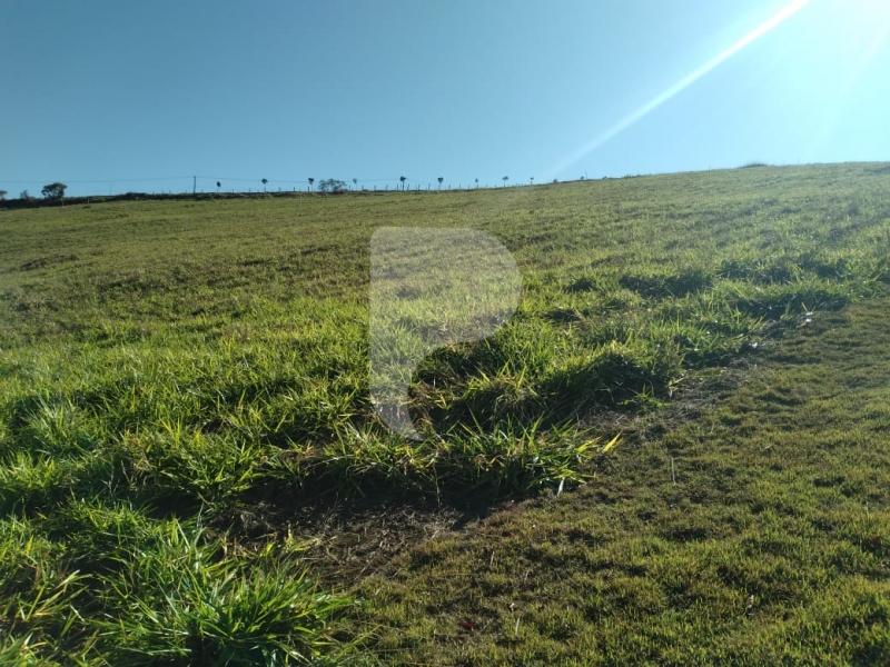 Terreno Residencial à venda em Centro, Areal - RJ - Foto 3