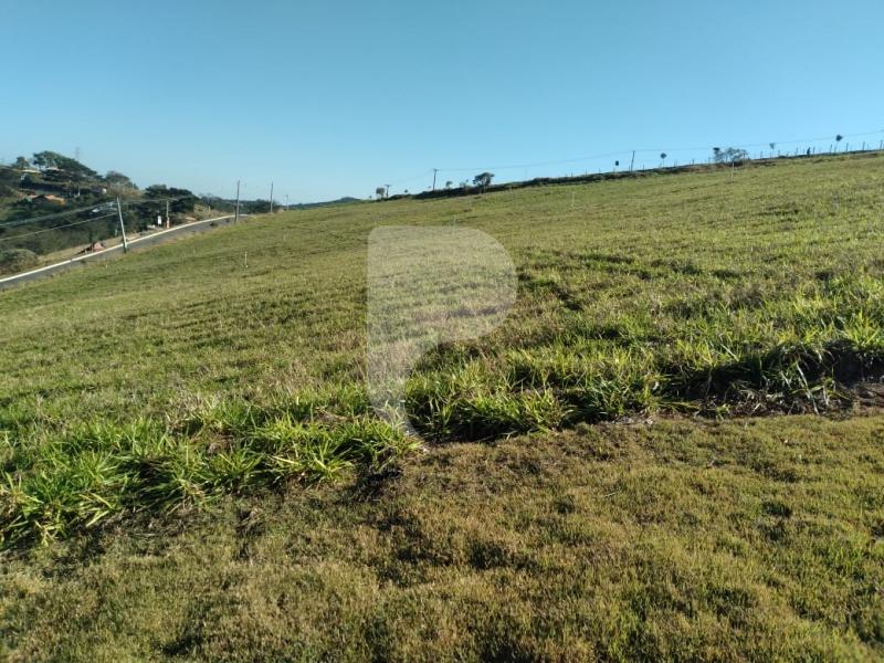 Terreno Residencial à venda em Centro, Areal - RJ - Foto 11