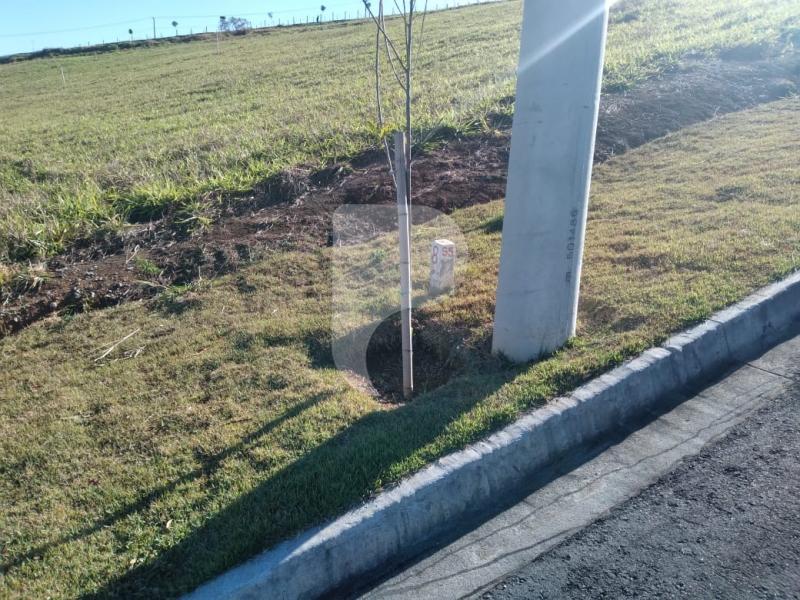 Terreno Residencial à venda em Centro, Areal - RJ - Foto 14