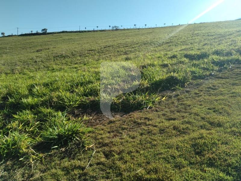 Terreno Residencial à venda em Centro, Areal - RJ - Foto 19