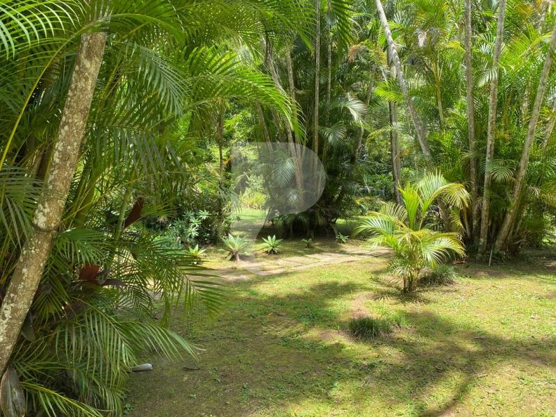 Casa à venda em Itaipava, Petrópolis - RJ - Foto 4