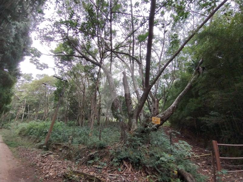 Terreno Residencial à venda em Itaipava, Petrópolis - RJ - Foto 2