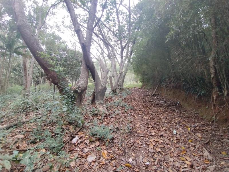 Terreno Residencial à venda em Itaipava, Petrópolis - RJ - Foto 3