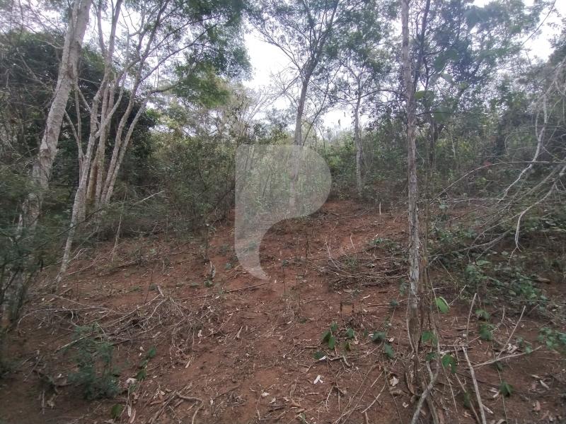 Terreno Residencial à venda em Itaipava, Petrópolis - RJ - Foto 5