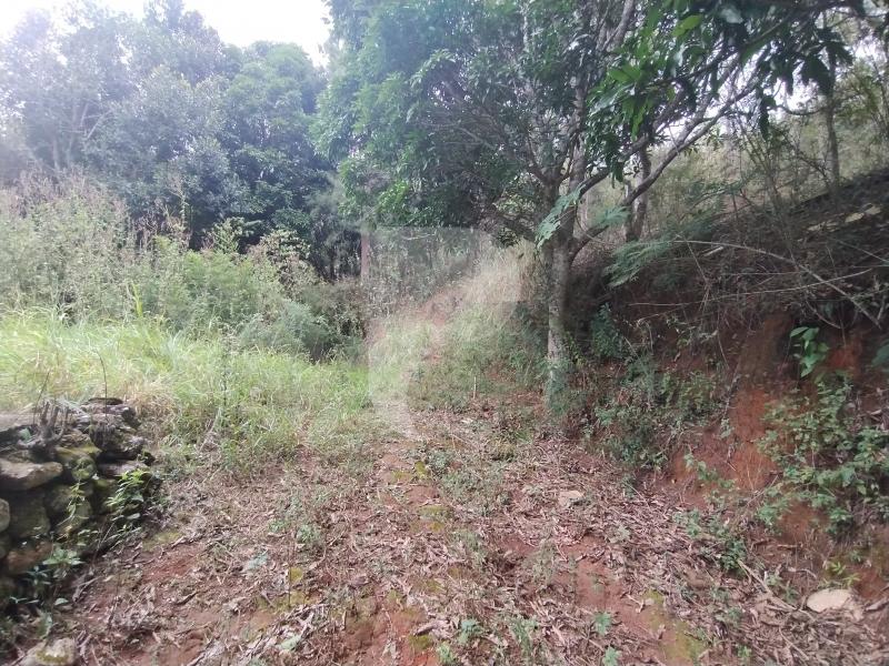 Terreno Residencial à venda em Itaipava, Petrópolis - RJ - Foto 8