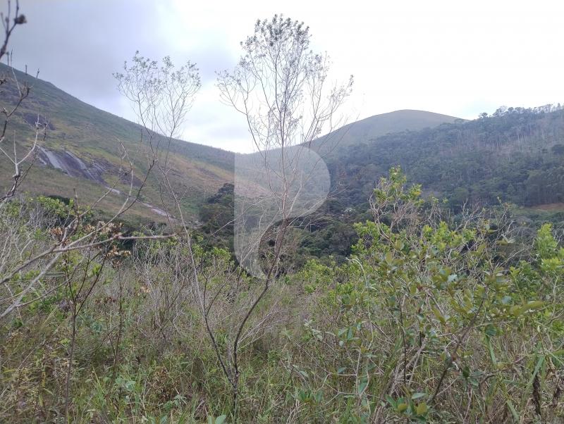 Terreno Residencial à venda em Itaipava, Petrópolis - RJ - Foto 9