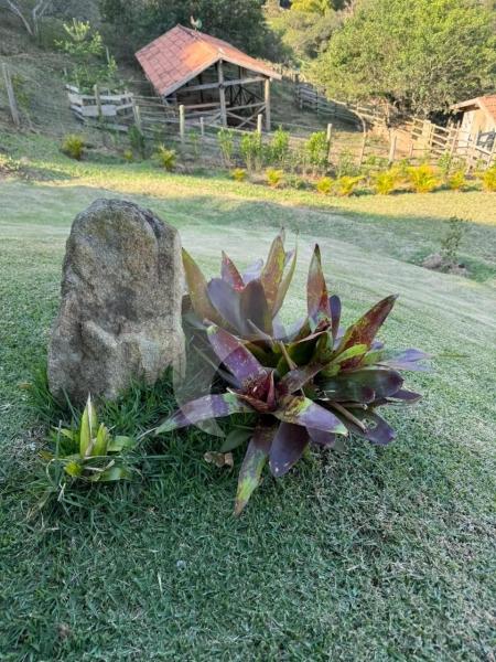Terreno Residencial à venda em Secretário, Petrópolis - RJ - Foto 5