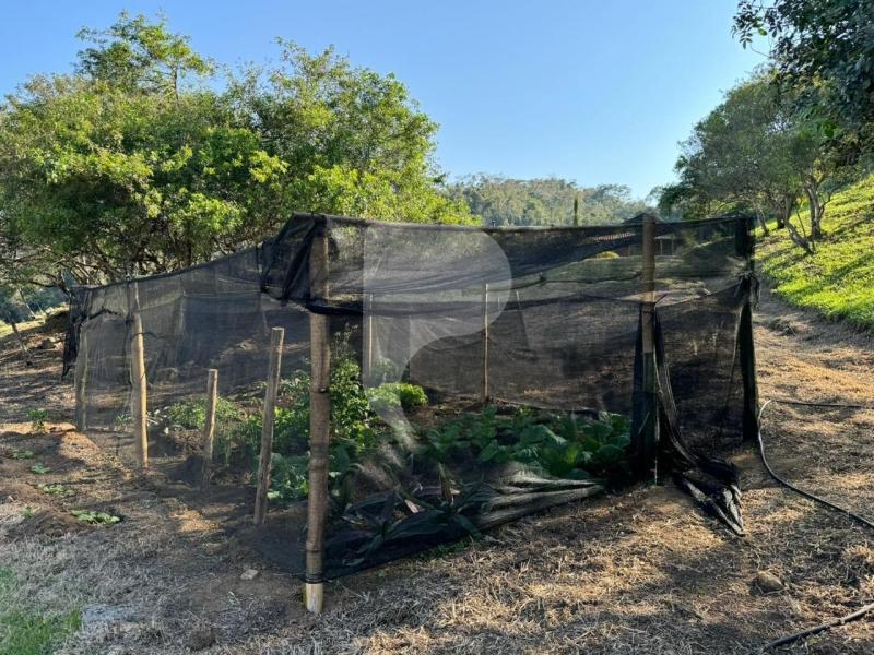 Terreno Residencial à venda em Secretário, Petrópolis - RJ - Foto 10