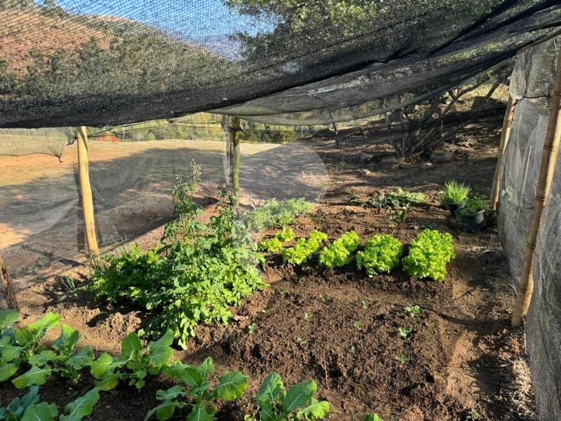 Terreno Residencial à venda em Secretário, Petrópolis - RJ - Foto 13