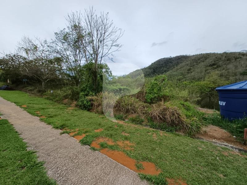 Terreno Residencial à venda em Secretário, Petrópolis - RJ - Foto 6