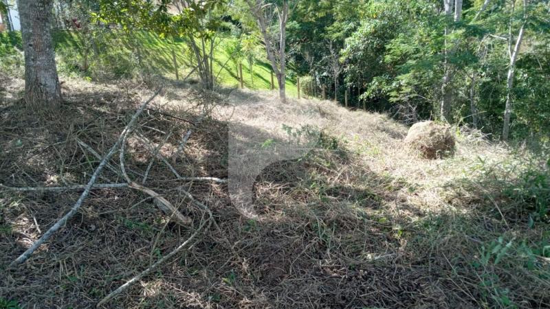 Terreno Residencial à venda em Secretário, Petrópolis - RJ - Foto 9