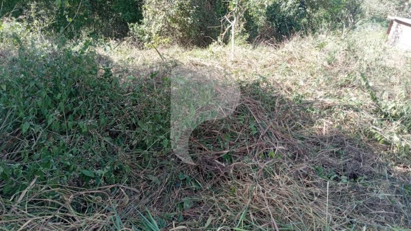 Terreno Residencial à venda em Secretário, Petrópolis - RJ - Foto 10
