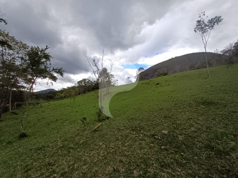 Terreno Residencial à venda em Itaipava, Petrópolis - RJ - Foto 6