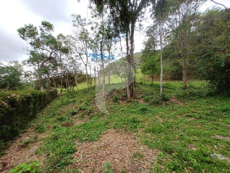 Terreno Residencial à venda em Itaipava, Petrópolis - RJ - Foto 8