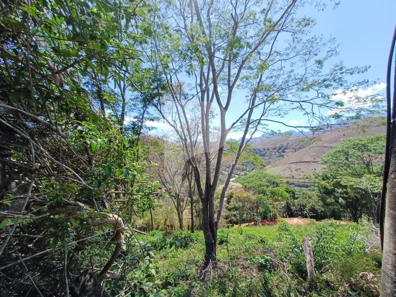 Terreno Residencial à venda em Itaipava, Petrópolis - RJ - Foto 1