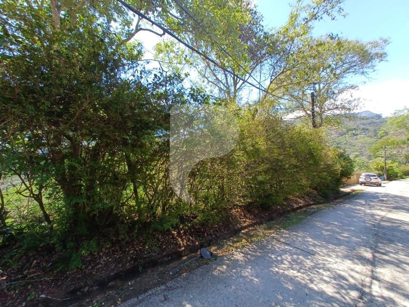 Terreno Residencial à venda em Itaipava, Petrópolis - RJ - Foto 5