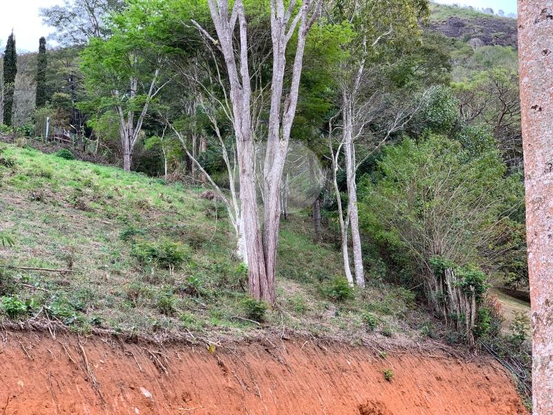 Terreno Residencial à venda em Itaipava, Petrópolis - RJ - Foto 8