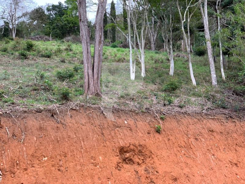 Terreno Residencial à venda em Itaipava, Petrópolis - RJ - Foto 10