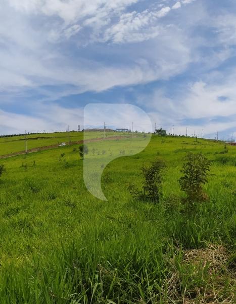 Terreno Residencial à venda em Centro, Areal - RJ - Foto 4
