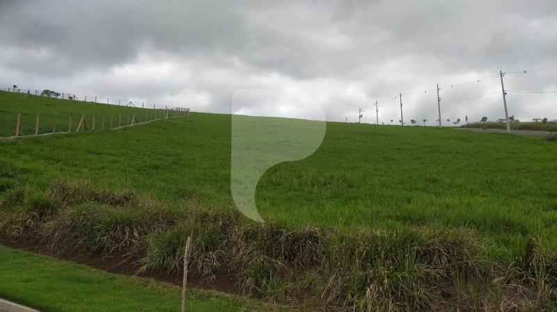 Terreno Residencial à venda em Centro, Areal - RJ - Foto 4