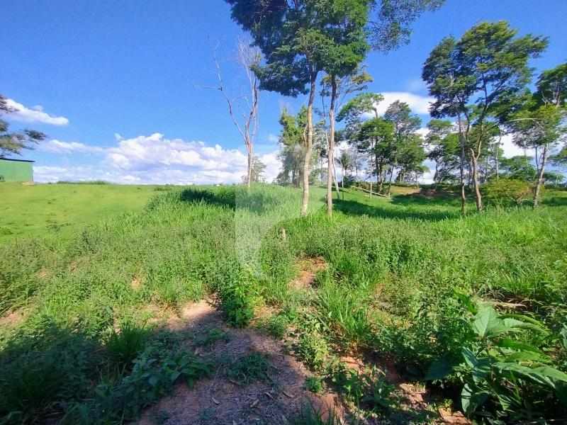 Terreno Residencial à venda em Secretário, Petrópolis - RJ - Foto 9
