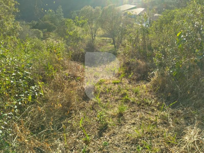 Terreno Residencial à venda em Pedro do Rio, Petrópolis - RJ - Foto 1
