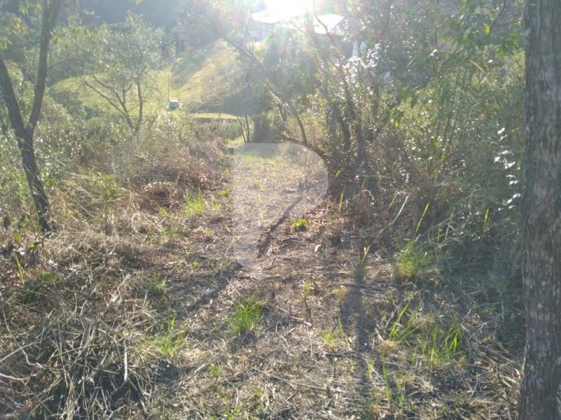 Terreno Residencial à venda em Pedro do Rio, Petrópolis - RJ - Foto 2