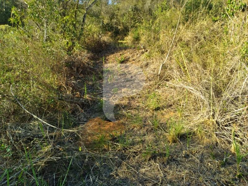 Terreno Residencial à venda em Pedro do Rio, Petrópolis - RJ - Foto 3