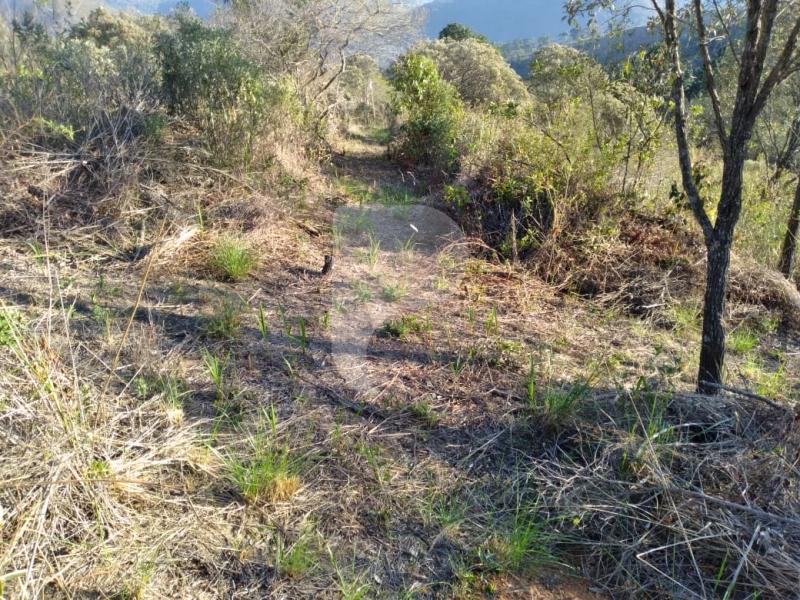 Terreno Residencial à venda em Pedro do Rio, Petrópolis - RJ - Foto 4