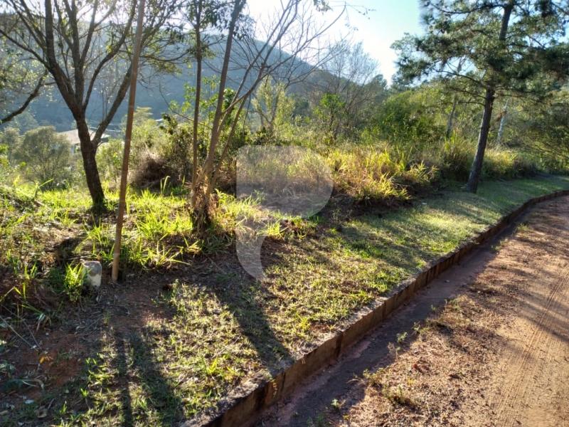 Terreno Residencial à venda em Pedro do Rio, Petrópolis - RJ - Foto 5