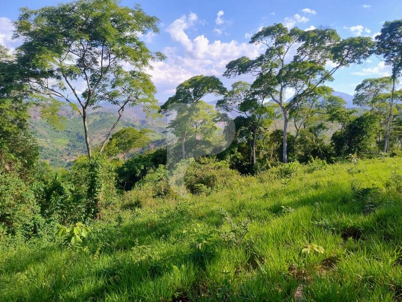 Terreno Residencial à venda em Secretário, Petrópolis - RJ - Foto 2