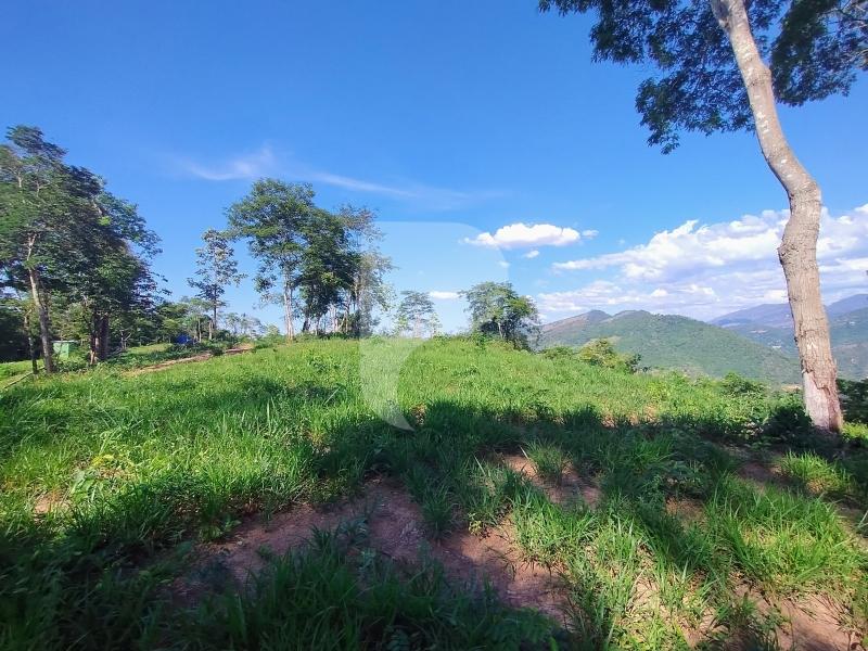 Terreno Residencial à venda em Secretário, Petrópolis - RJ - Foto 4