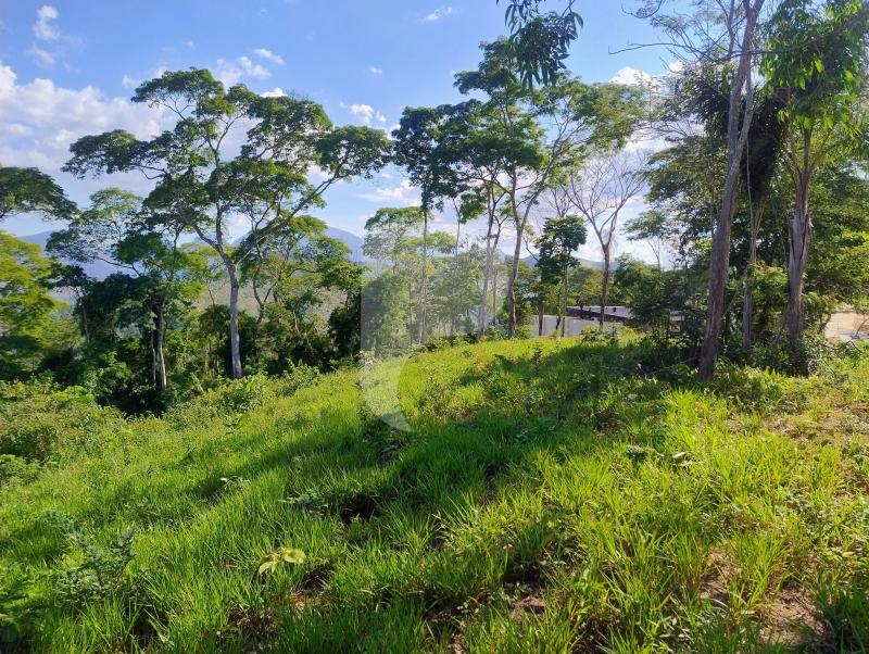 Terreno Residencial à venda em Secretário, Petrópolis - RJ - Foto 5