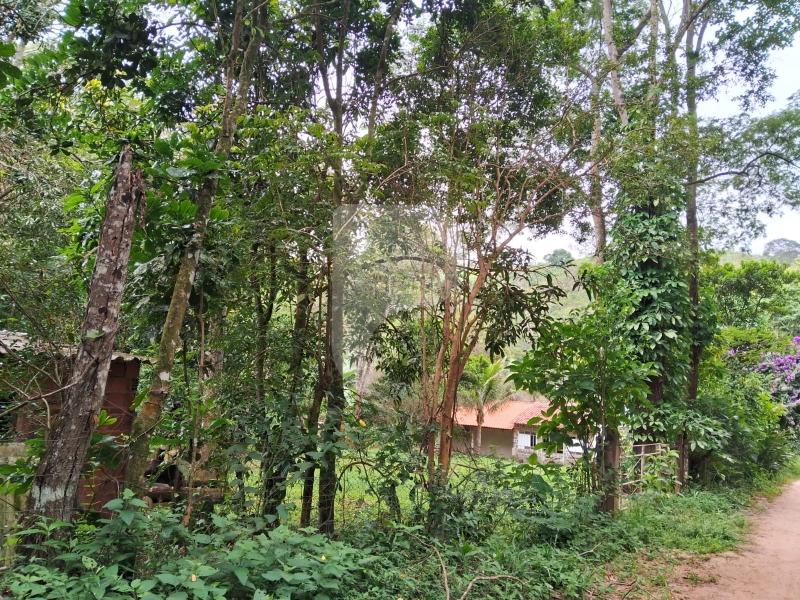 Fazenda / Sítio à venda em Centro, Areal - RJ - Foto 2