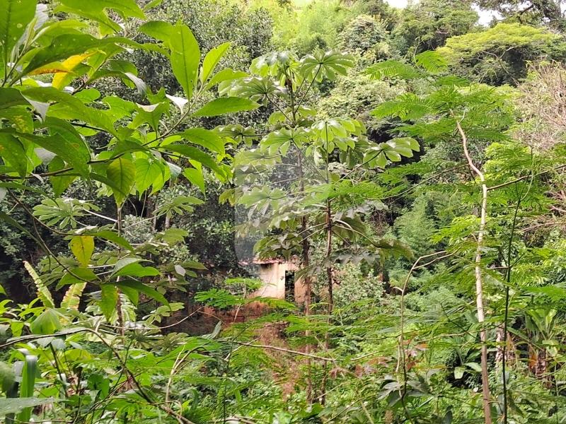 Fazenda / Sítio à venda em Centro, Areal - RJ - Foto 15