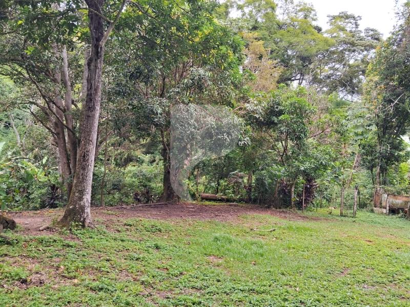 Fazenda / Sítio à venda em Centro, Areal - RJ - Foto 6