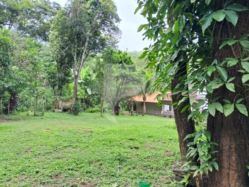 Fazenda / Sítio à venda em Centro, Areal - RJ - Foto 3