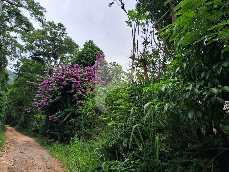 Fazenda / Sítio à venda em Centro, Areal - RJ - Foto 10